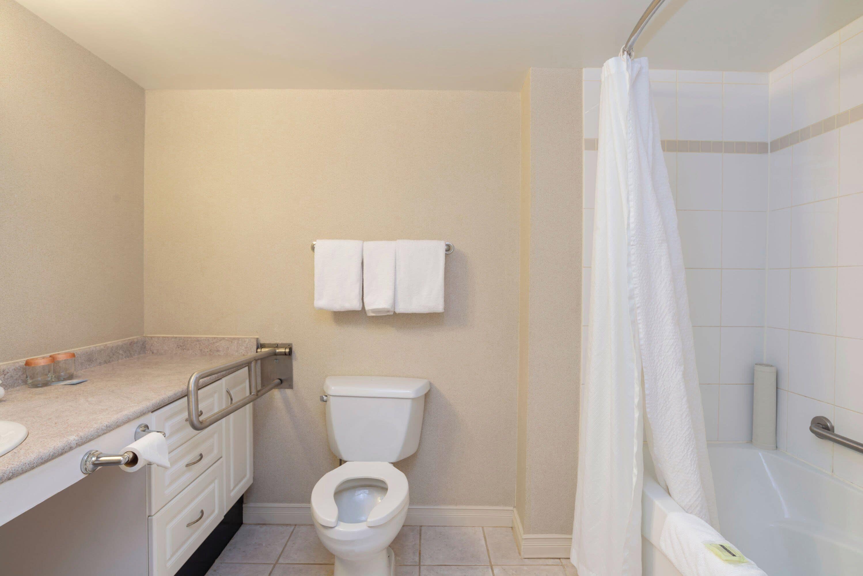 suite, 1 queen bed with sofa bed, kitchen (accessible) | bathroom | combined shower/bathtub, free toiletries, hair dryer, bathrobes