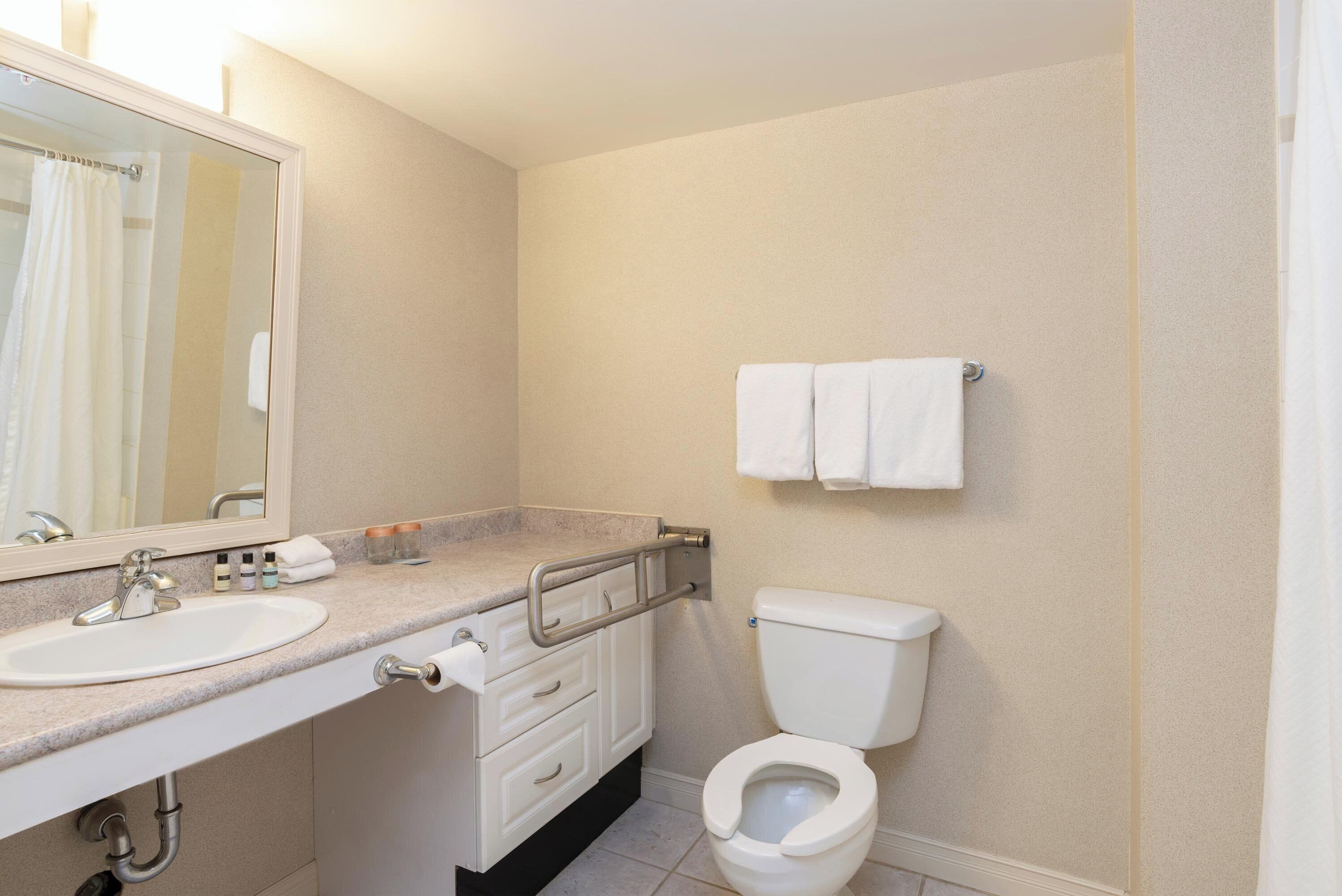 suite, 1 queen bed with sofa bed, kitchen (accessible) | accessible bathroom