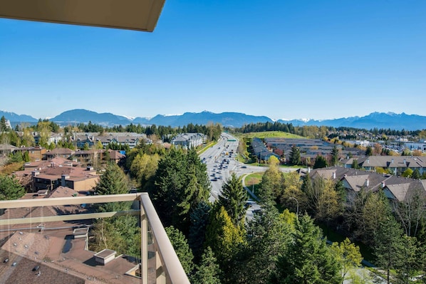 Suite estándar, 1 cama de matrimonio grande con sofá cama, cocina (View) | Vistas a la ciudad