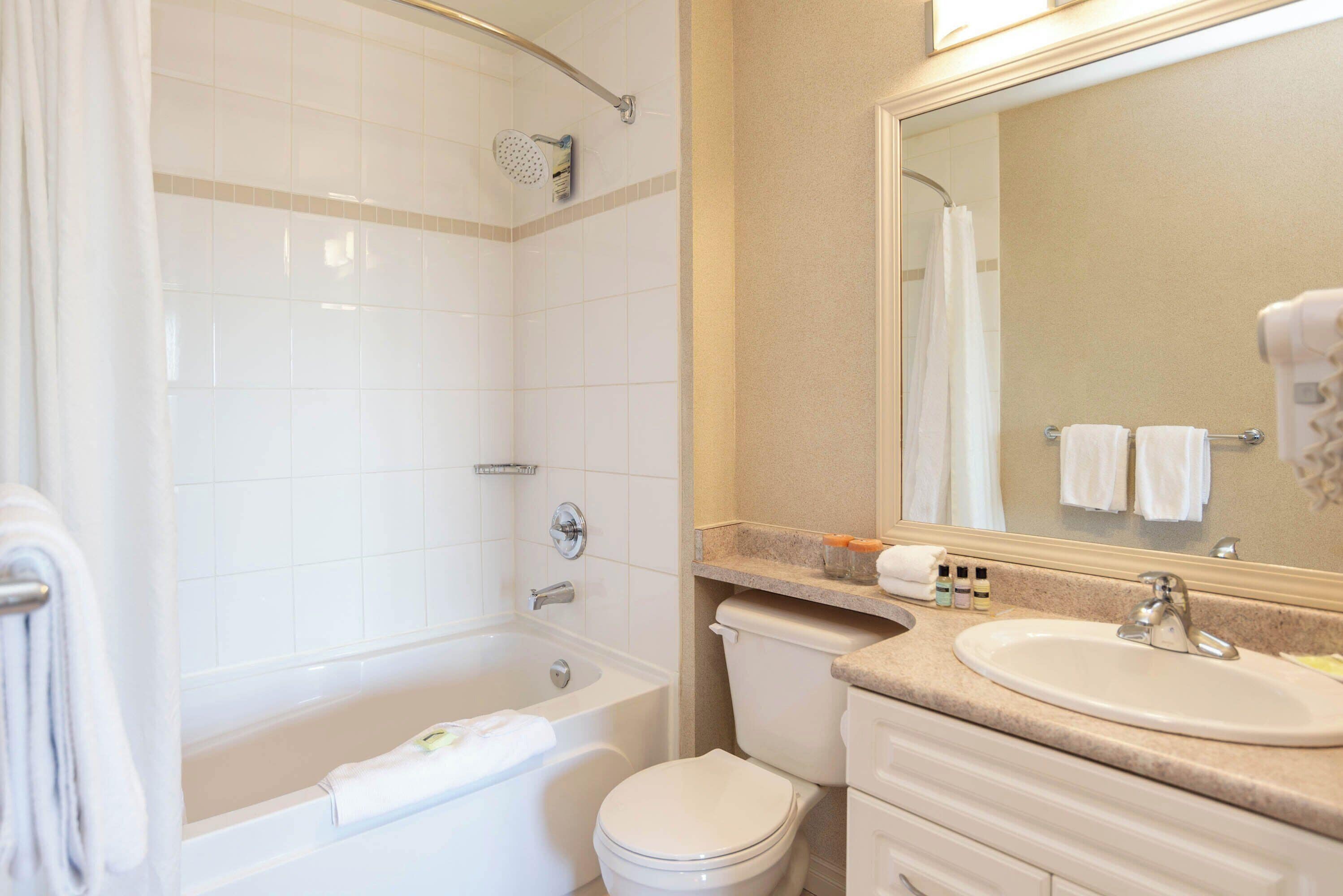 penthouse suite, 1 king, sofa bed, kitchen, top floor | bathroom | combined shower/bathtub, free toiletries, hair dryer, bathrobes