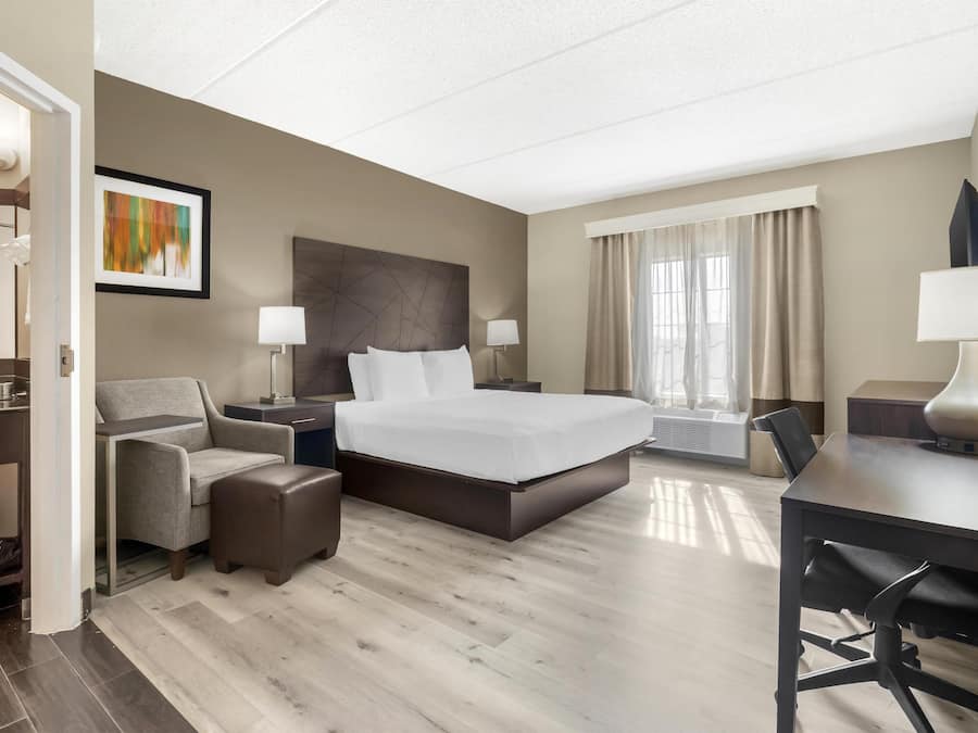 Habitación estándar, 1 cama King size, para no fumadores | Escritorio, cortinas blackout y tabla de planchar con plancha