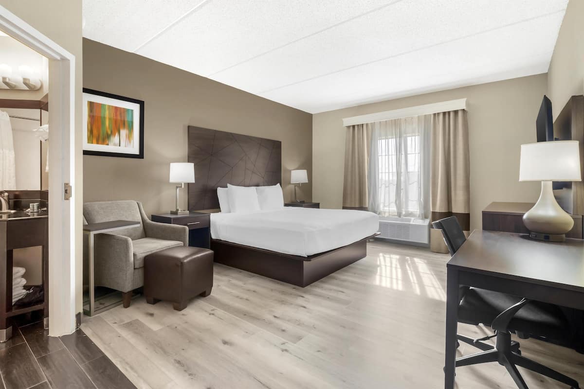 Habitación estándar, 1 cama King size, para no fumadores | Escritorio, cortinas blackout y tabla de planchar con plancha