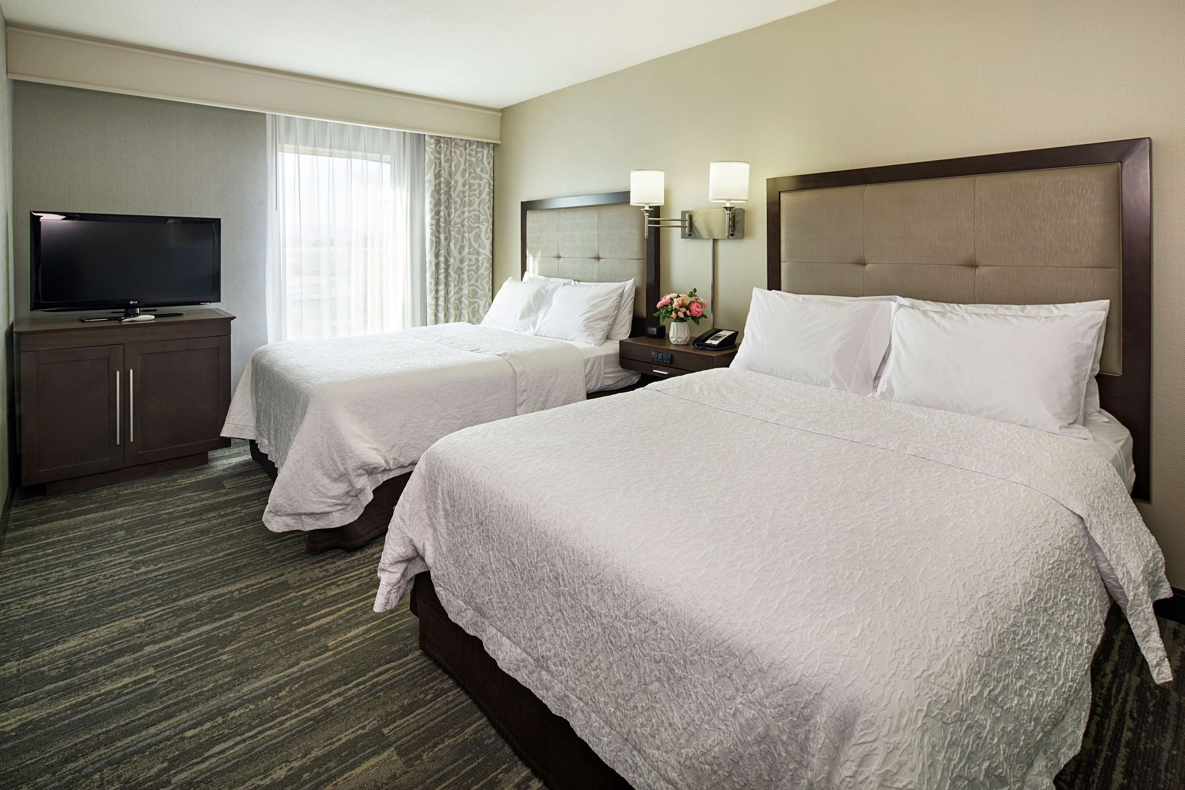 A hotel room with two beds, a television, and a nightstand with a lamp and a vase of flowers.
