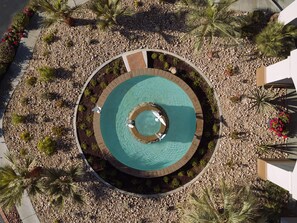 A circular pool with a central fountain, surrounded by a pebble bed and palm trees.