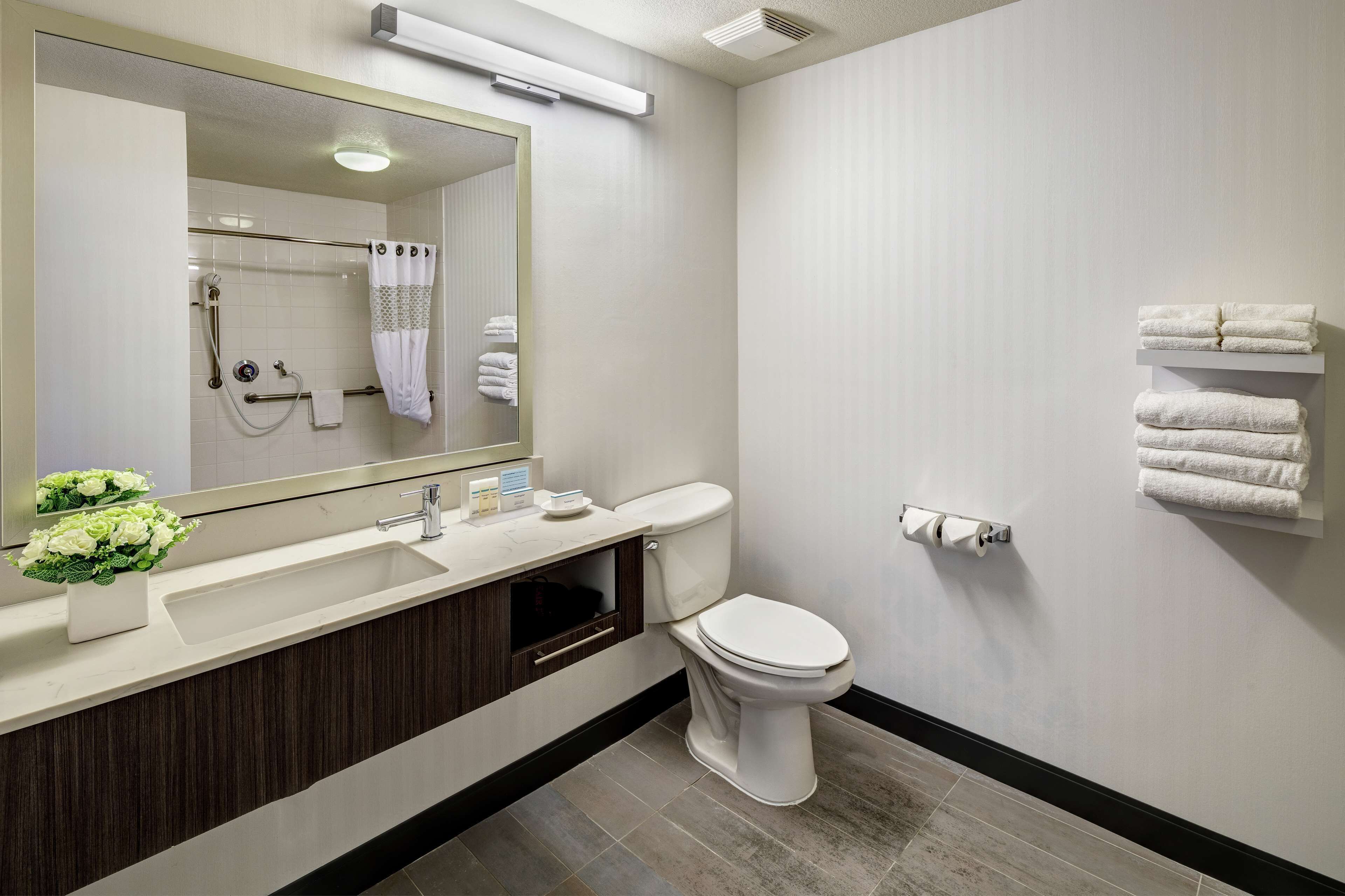 studio, 1 king bed, accessible, non smoking | bathroom shower