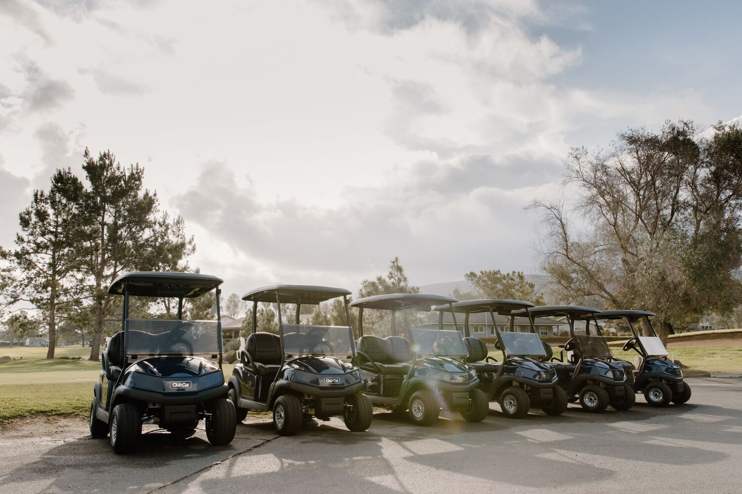 A row of golf carts parked on a paved area with trees and a house in the background.