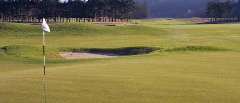 Un campo de golf con un mástil de bandera, búnkeres de arena y una colina boscosa al fondo.