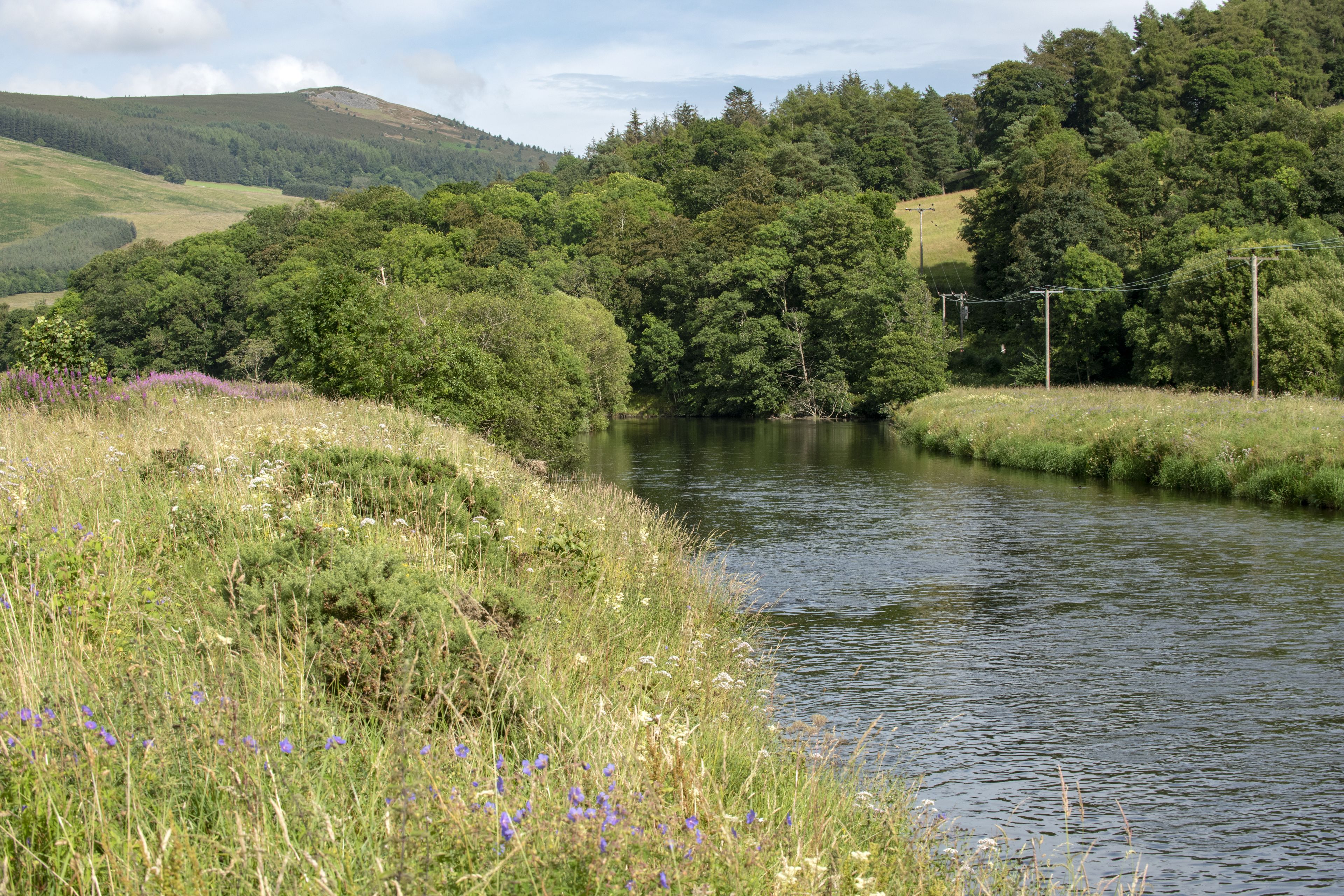 A river with surrounding greenery and hills.