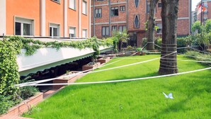 A grassy area with a tree wrapped in rope, a white building with a sloped roof, and a brick building with multiple windows and balconies in the background. - eco Hotel Milano & BioRiso Restaurant (Milan)