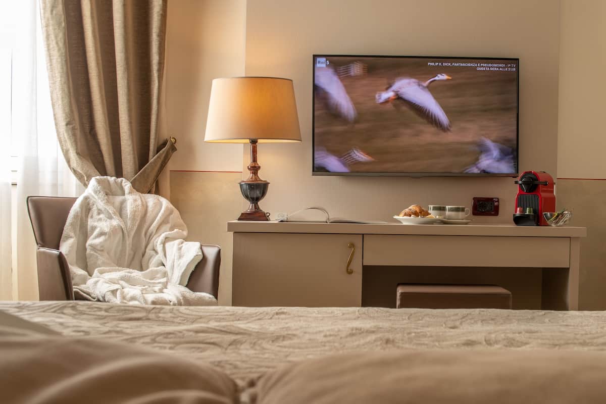 A hotel room with a bed, a desk with a lamp, a television displaying birds, and a chair with a blanket.