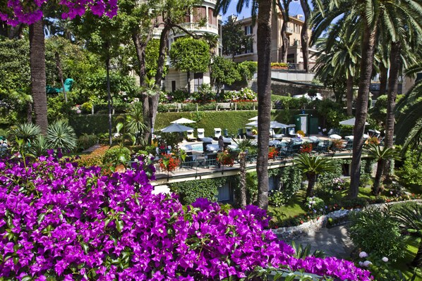 Un jardin luxuriant, parsemé de fleurs d’un violet éclatant, avec des palmiers et un espace piscine agrémenté de chaises longues et de parasols.