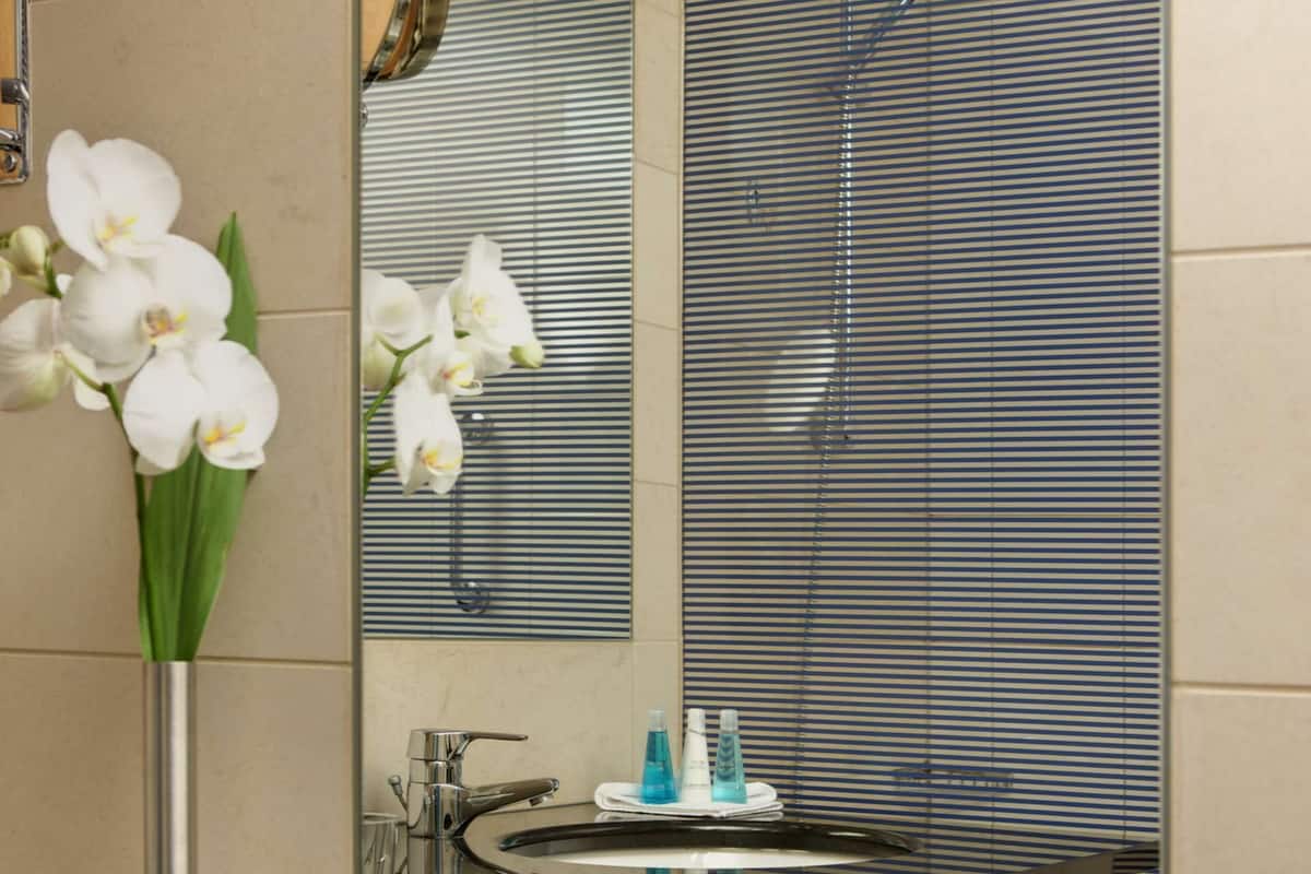 combined shower/bathtub, designer toiletries, hair dryer, towels