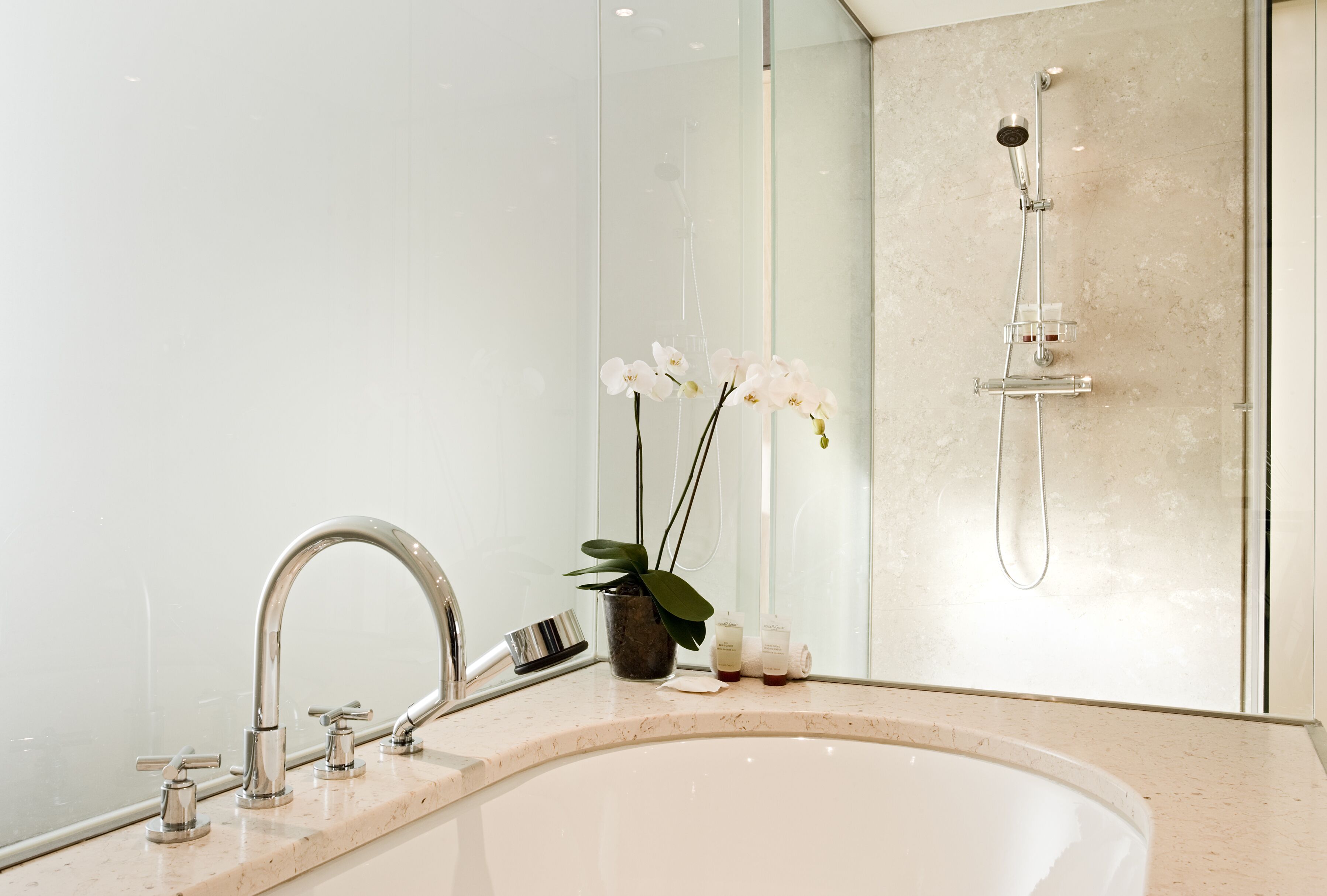 A modern bathroom with a large sink, a handheld showerhead, and a potted orchid.