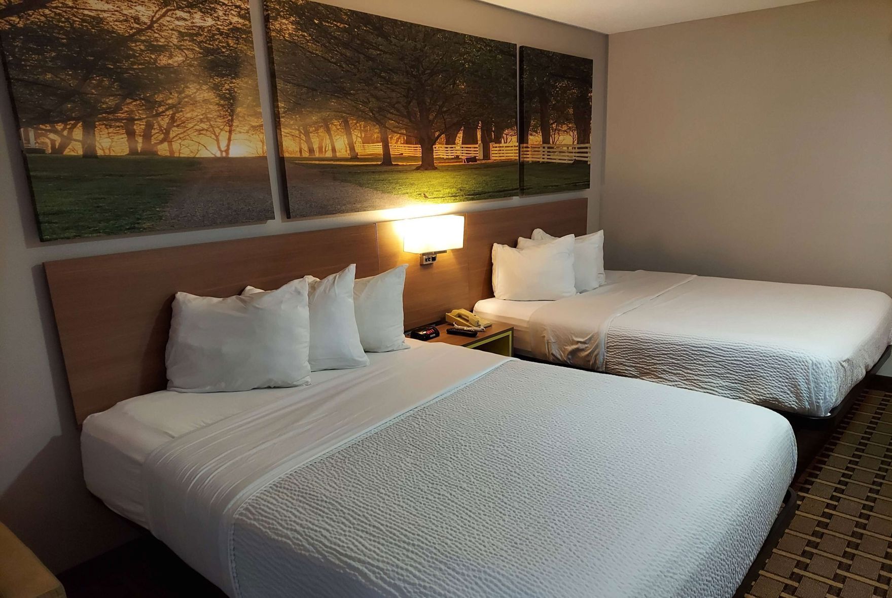 Desk, iron/ironing board, free WiFi, bed sheets