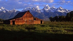 A wooden barn with a sloped roof in a grassy field, with snow-capped mountains in the background. - The Rusty Parrot Lodge and Spa (Jackson)