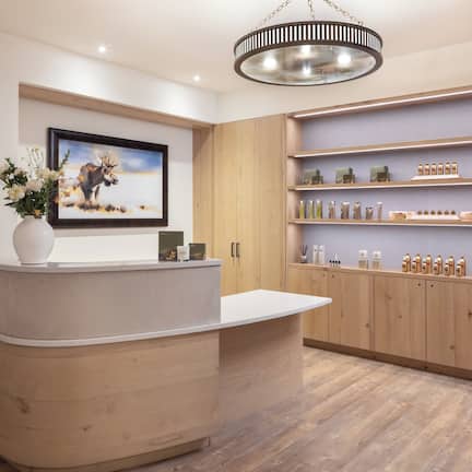 A reception area with a wooden reception desk, a framed wildlife painting, a vase of flowers, and shelves with various products.