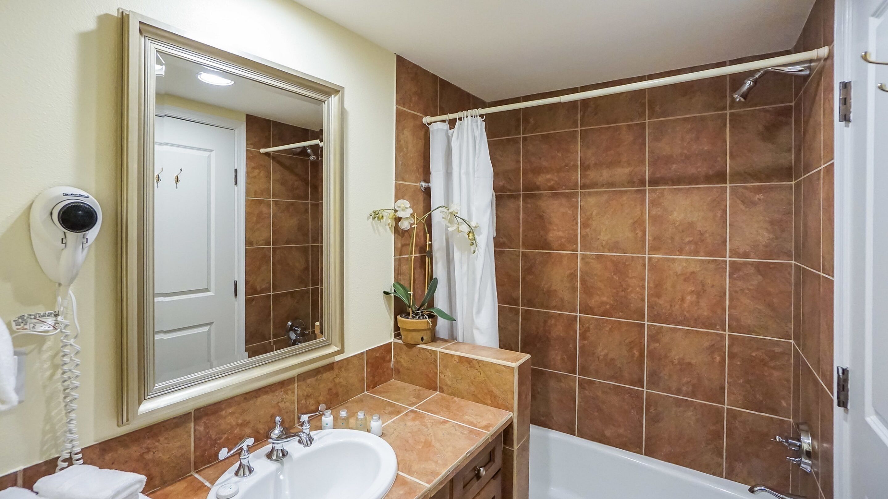 A bathroom with a sink, mirror, and shower.