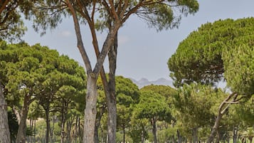 Golf view