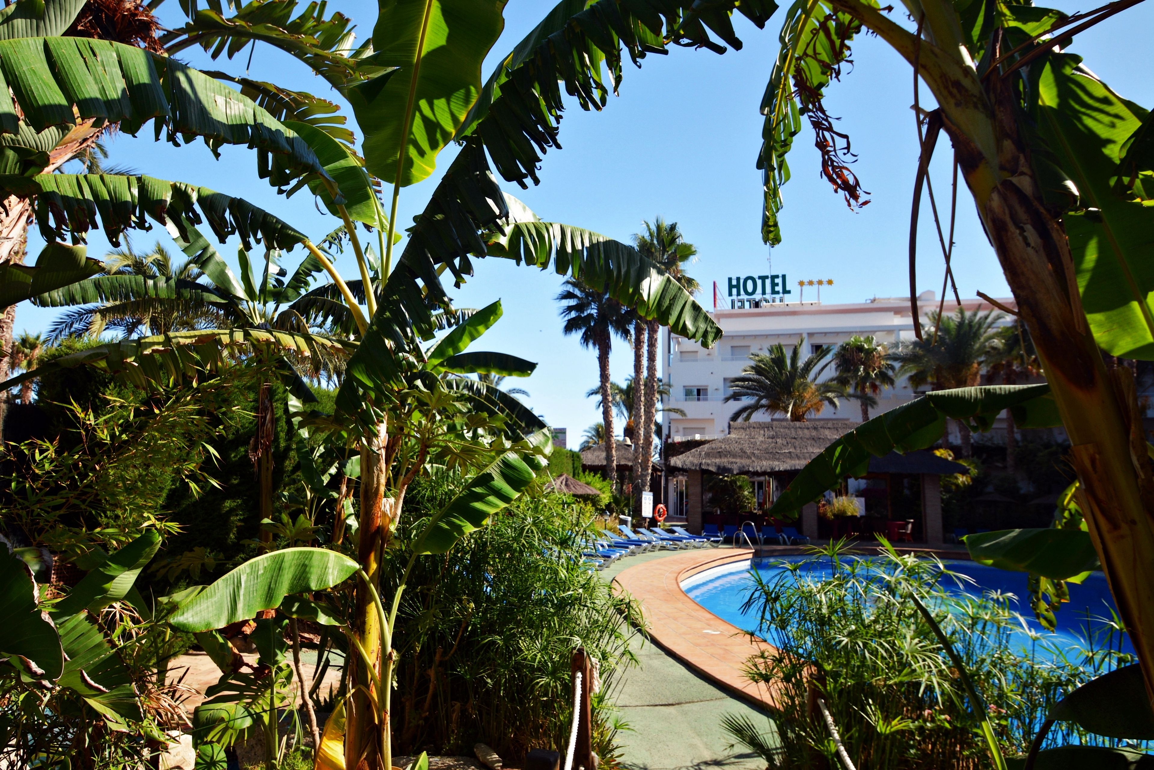 A hotel with a pool surrounded by lush tropical vegetation.