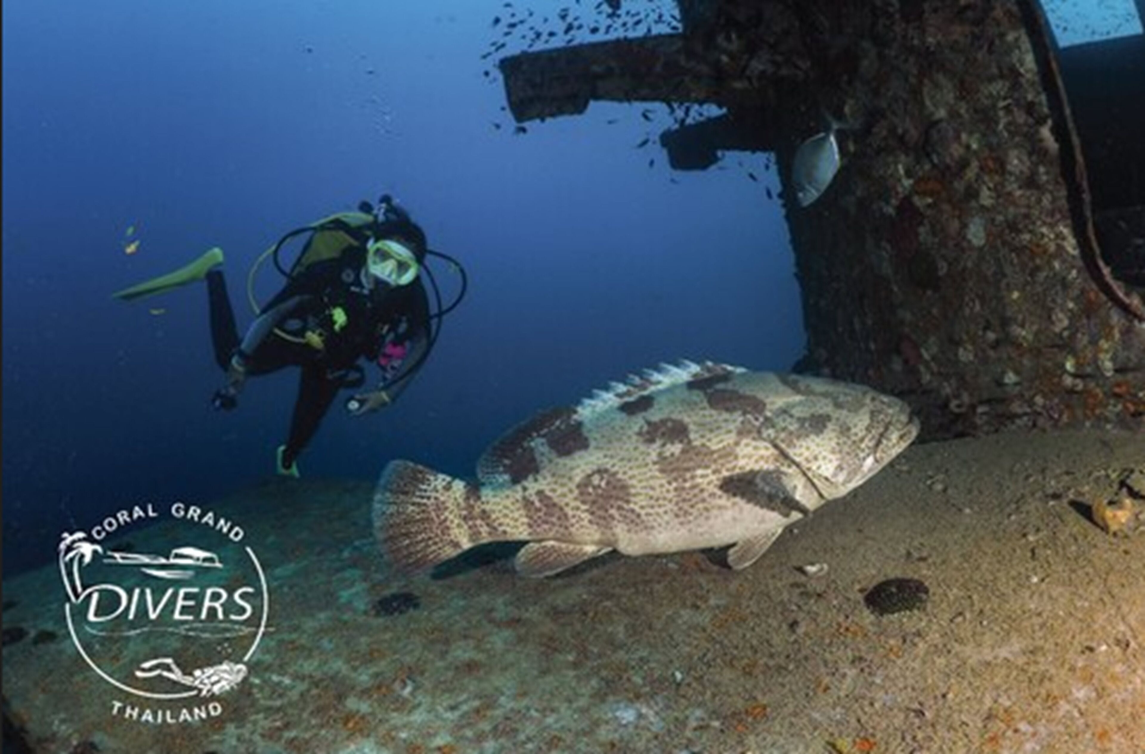 A diver and a fish near a shipwreck on the ocean floor.