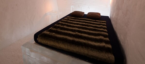 Standard Room, 1 Queen Bed (Ice room)