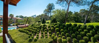 Adonis Mouans-sartoux L'Albatros