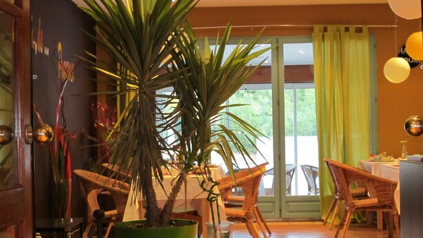 A room with a large potted plant, wicker chairs, a dining table, and a view through a glass door.