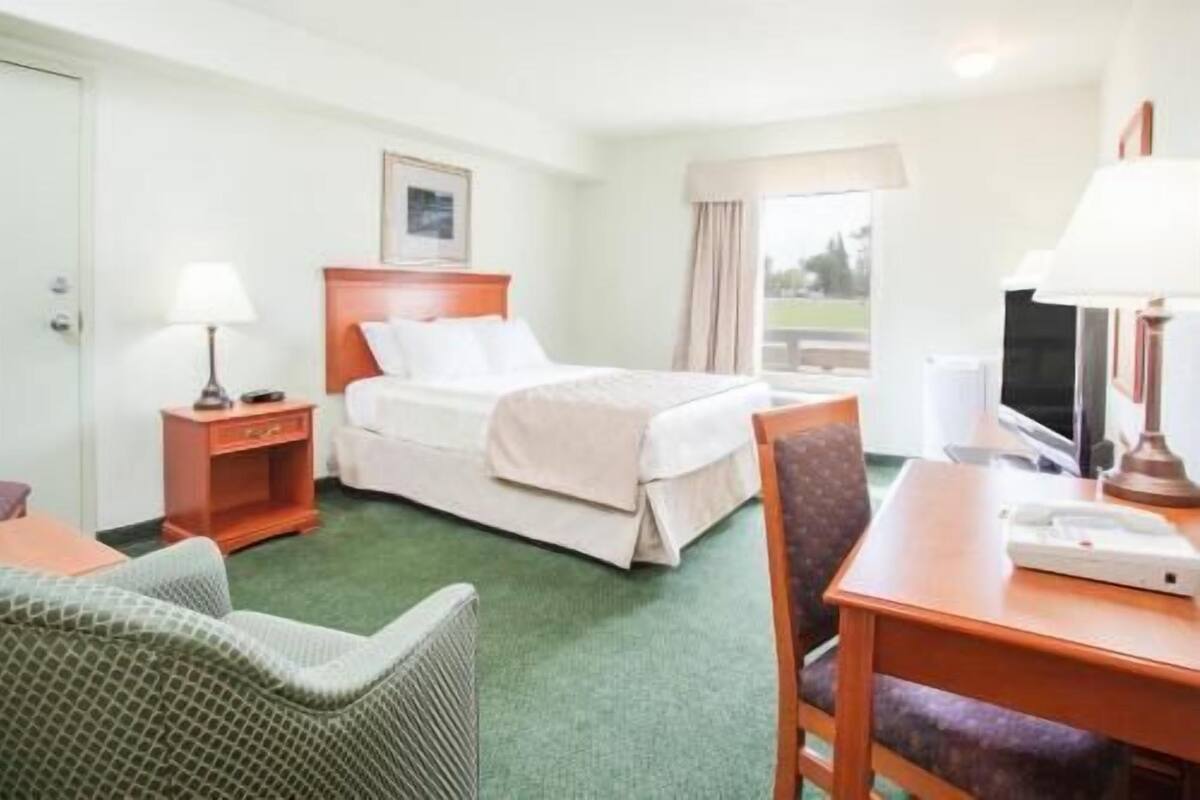 Une chambre d’hôtel avec un lit, un bureau doté d’une lampe, une chaise et un téléviseur.