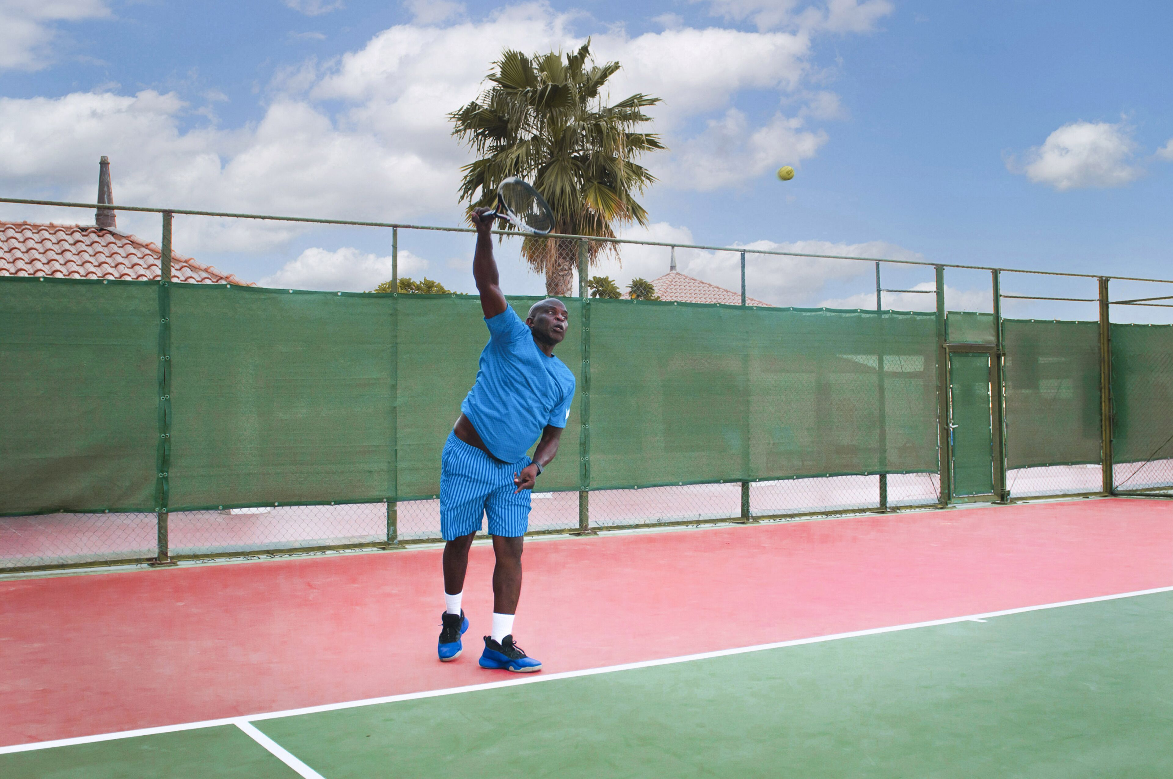 A tennis court with a green fence, a palm tree, and a clear sky.