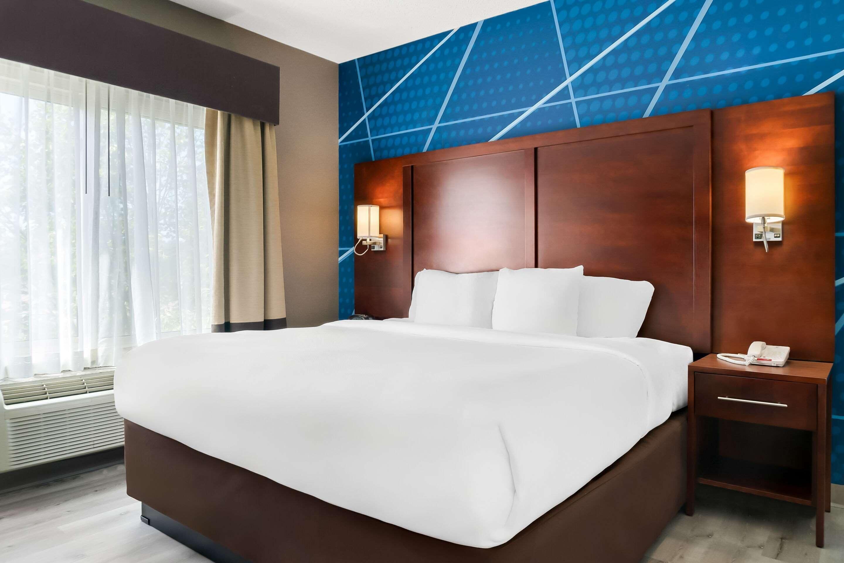 Premium bedding, desk, laptop workspace, blackout curtains