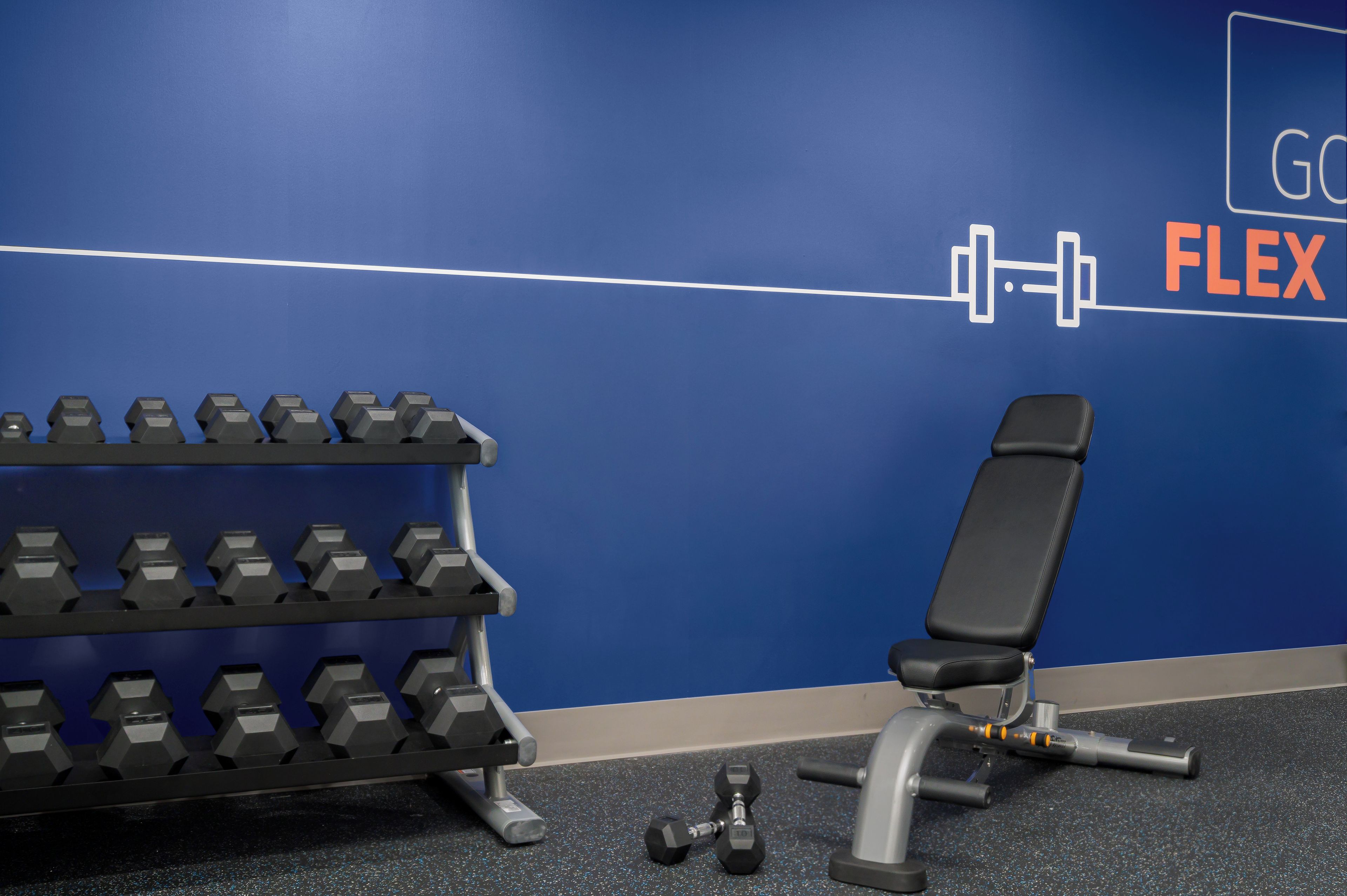 A gym with a wall-mounted dumbbell rack, a bench, and a floor mat.