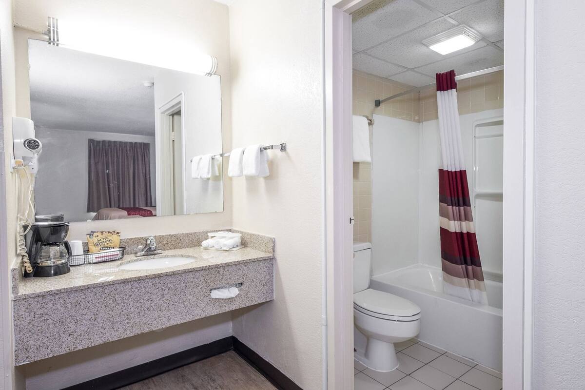 A bathroom with a sink, mirror, toilet, shower, and a coffee maker.