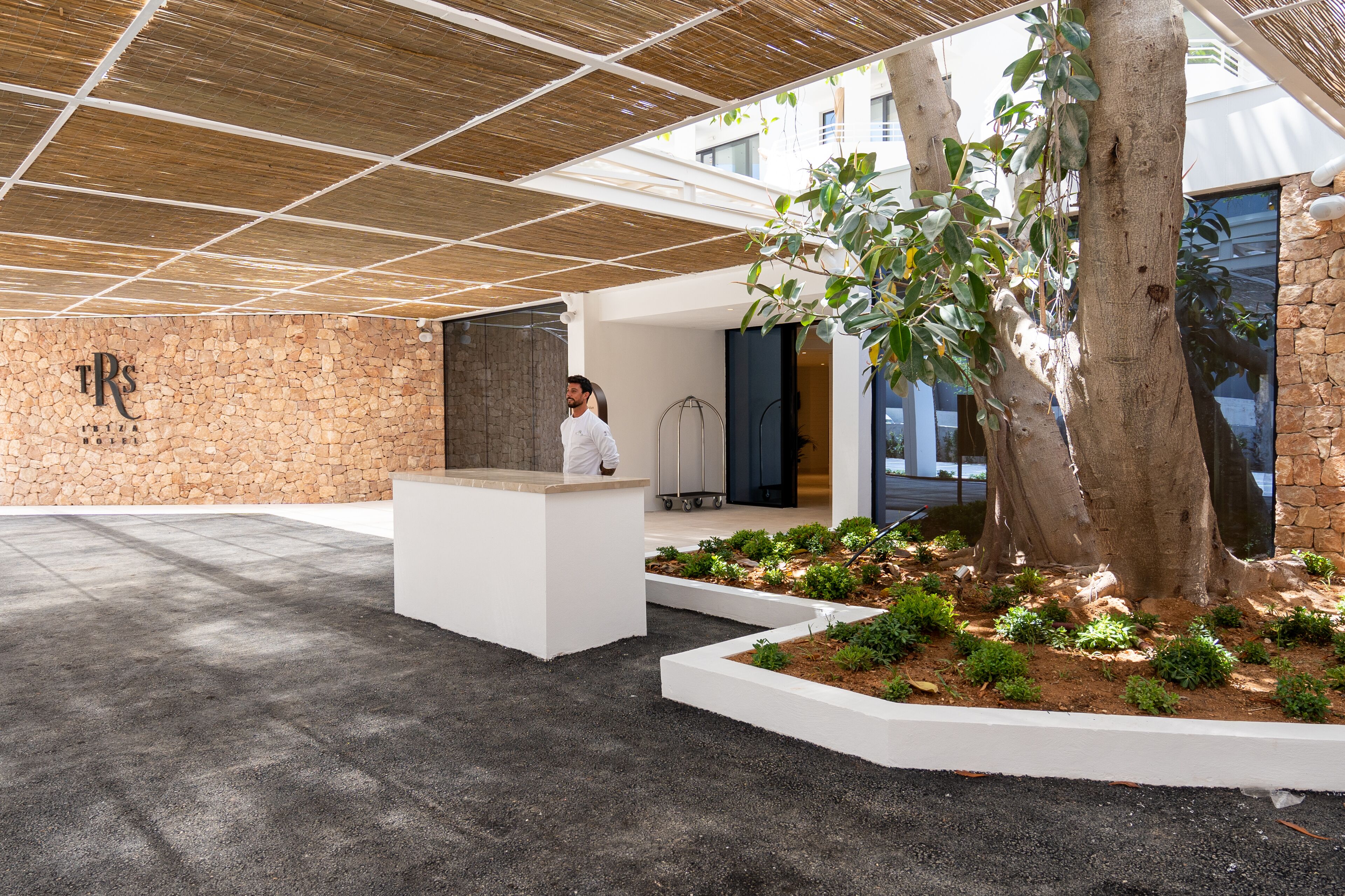 Un espace d’accueil avec une réceptionniste, un mur en pierre, un grand arbre et, au fond, un bâtiment moderne.