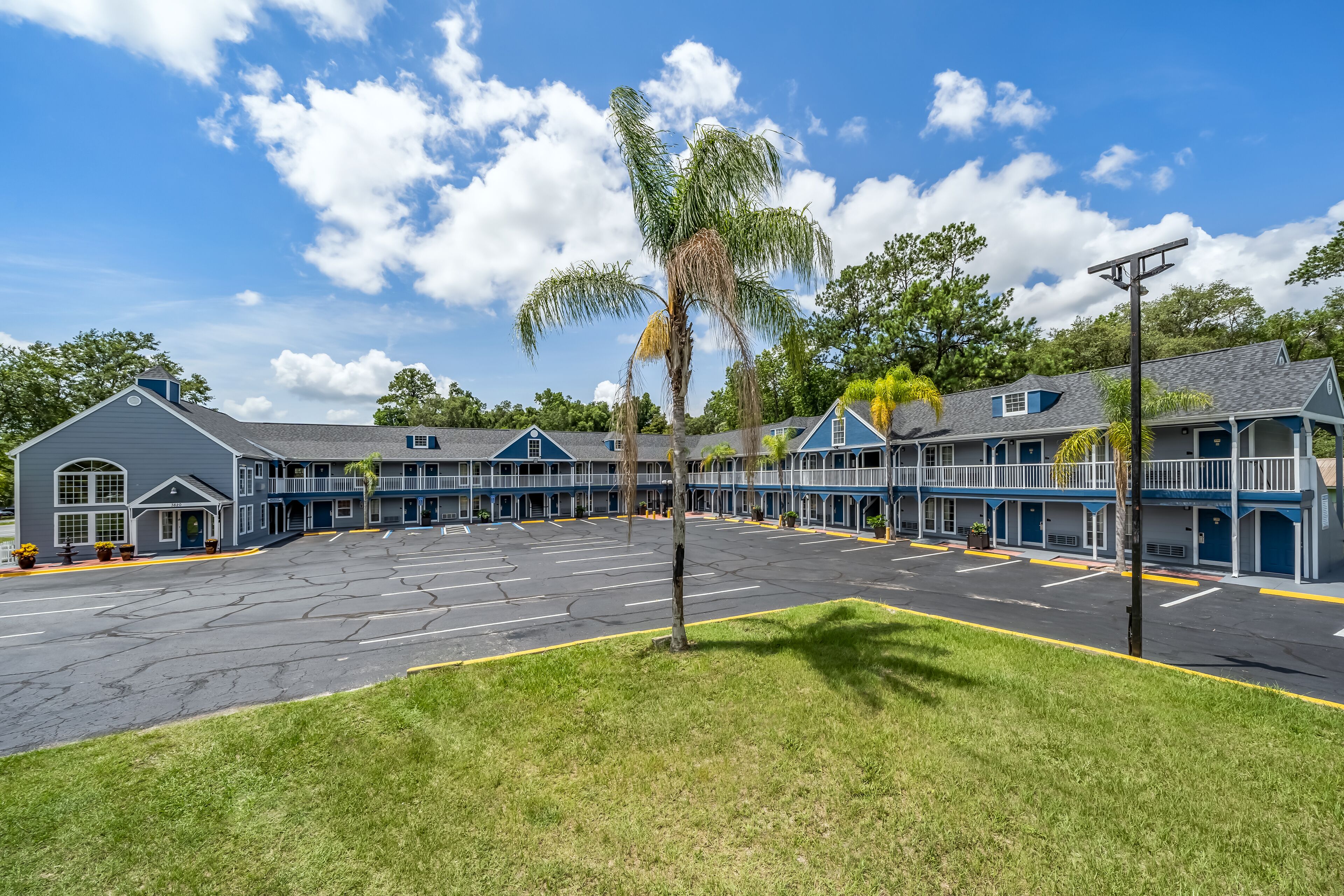 A motel with a large parking lot, multiple rooms, and a palm tree in the foreground.