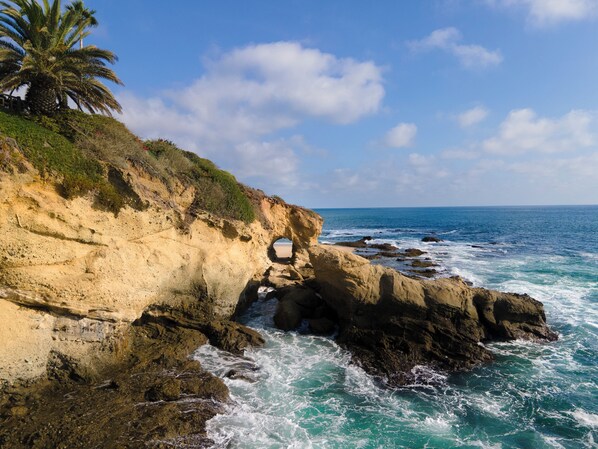 A coastal landscape with a rocky cliff, a palm tree, and the ocean. - Montage Laguna Beach (Laguna Beach)