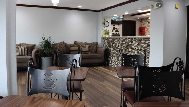 A living room with a sofa, two chairs, a coffee table, and a potted plant. There is a kitchen area with a counter and a clock on the wall.