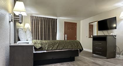 Motel In The Pines