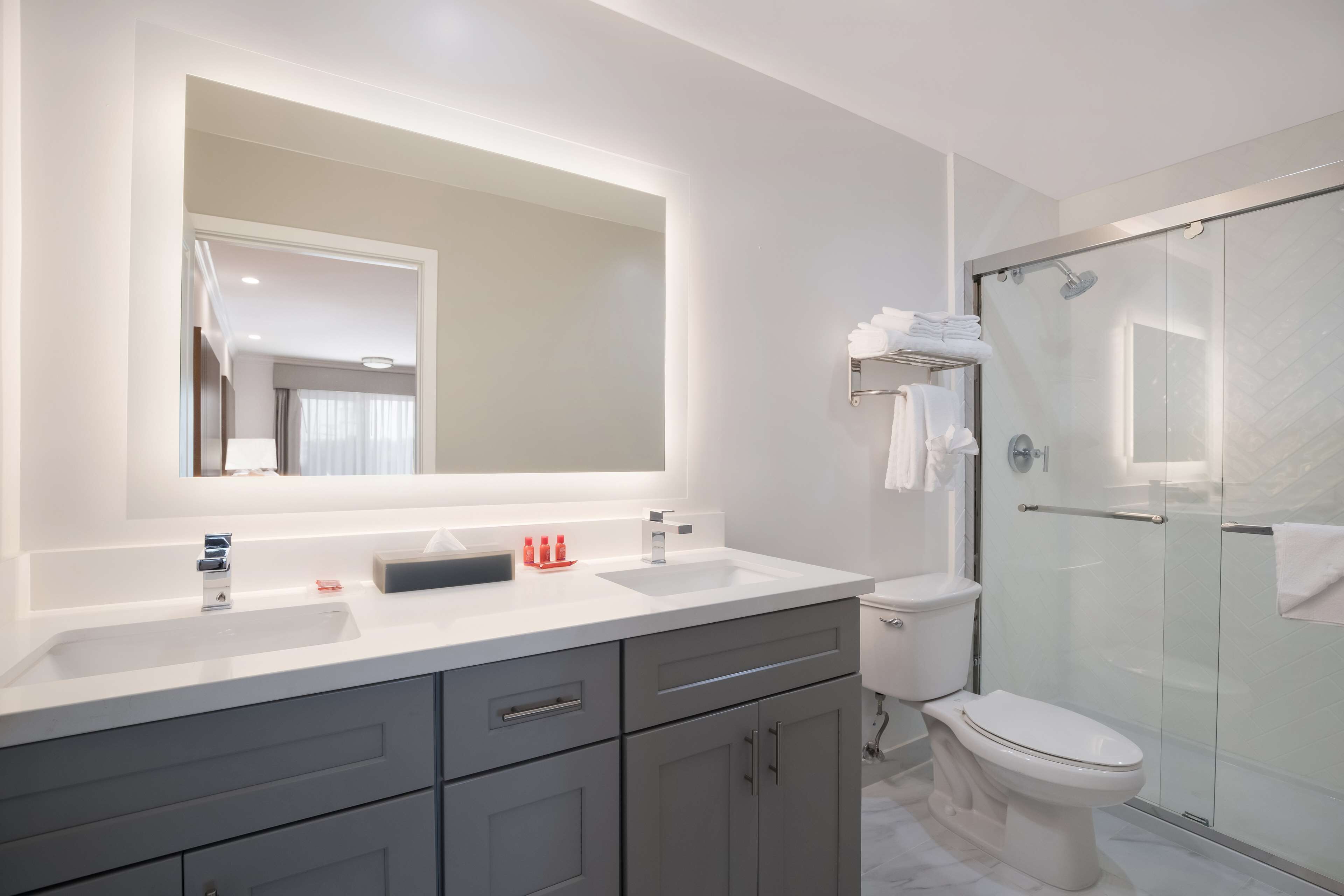 A modern bathroom with a large mirror, two sinks, a toilet, and a glass-enclosed shower.
