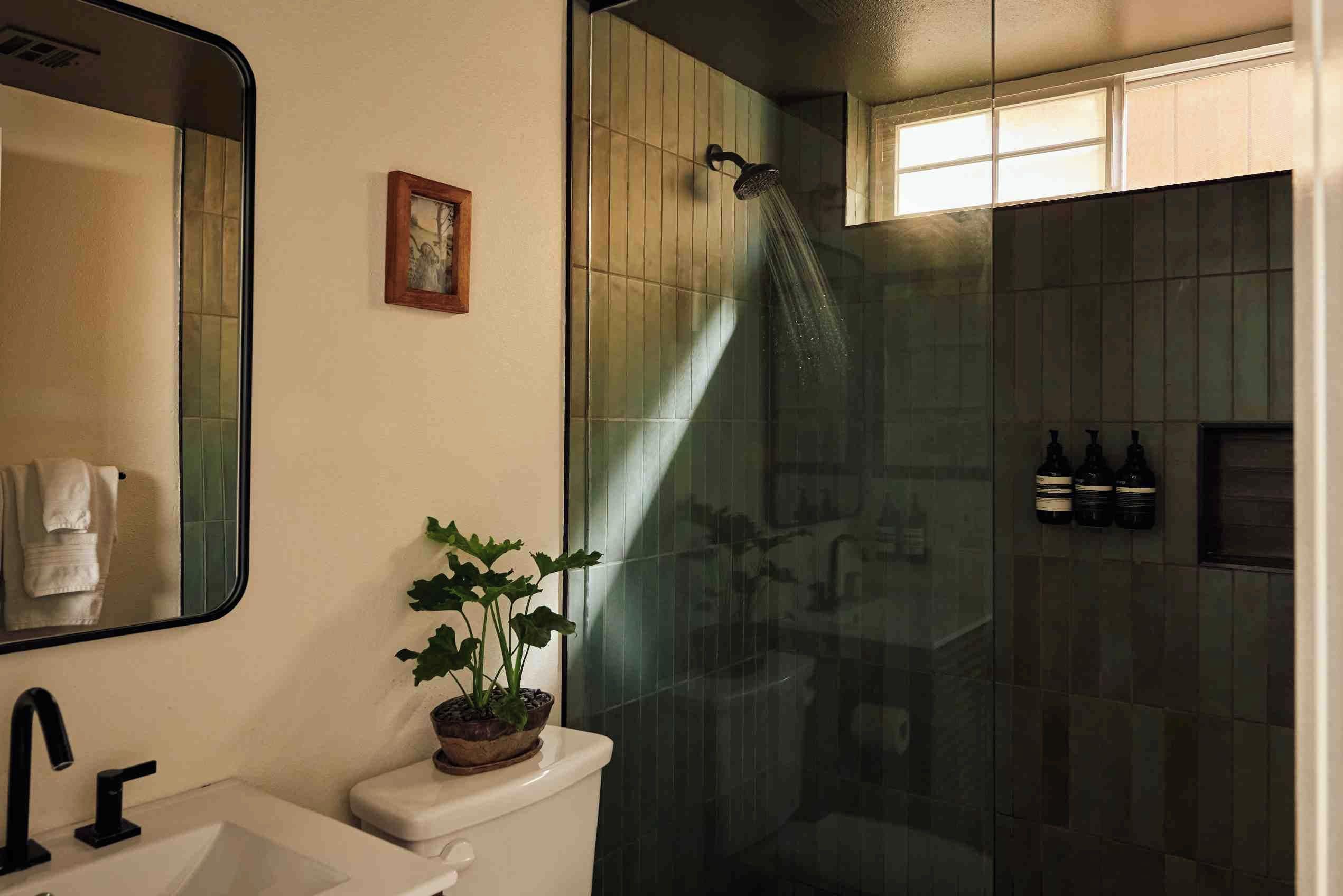 A modern bathroom with a glass-enclosed shower, a sink, a toilet, a mirror, and a small potted plant.
