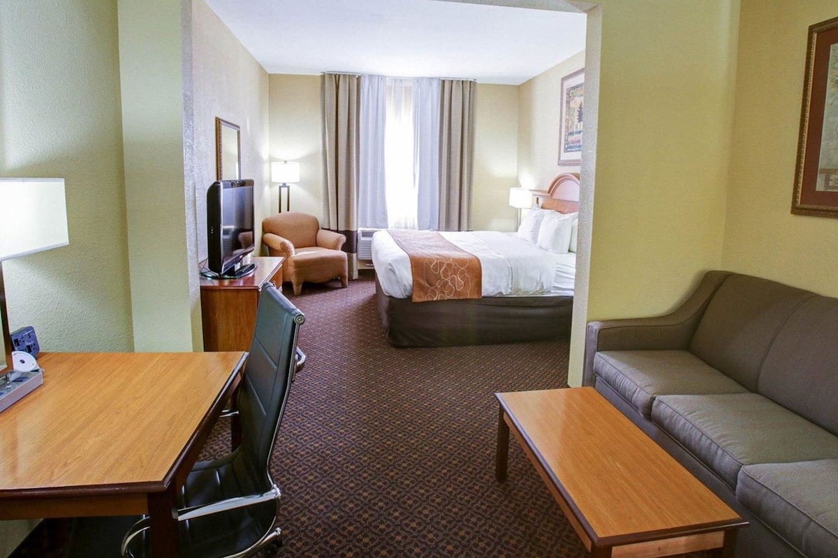 Habitación de hotel con cama, televisión, escritorio, silla, sofá y piso alfombrado.