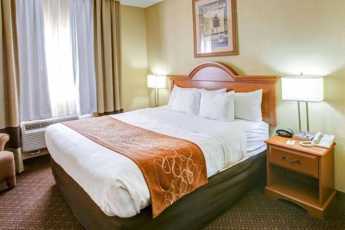 Una habitación de hotel con una cama grande, dos lámparas de noche, un teléfono y un cuadro en la pared.