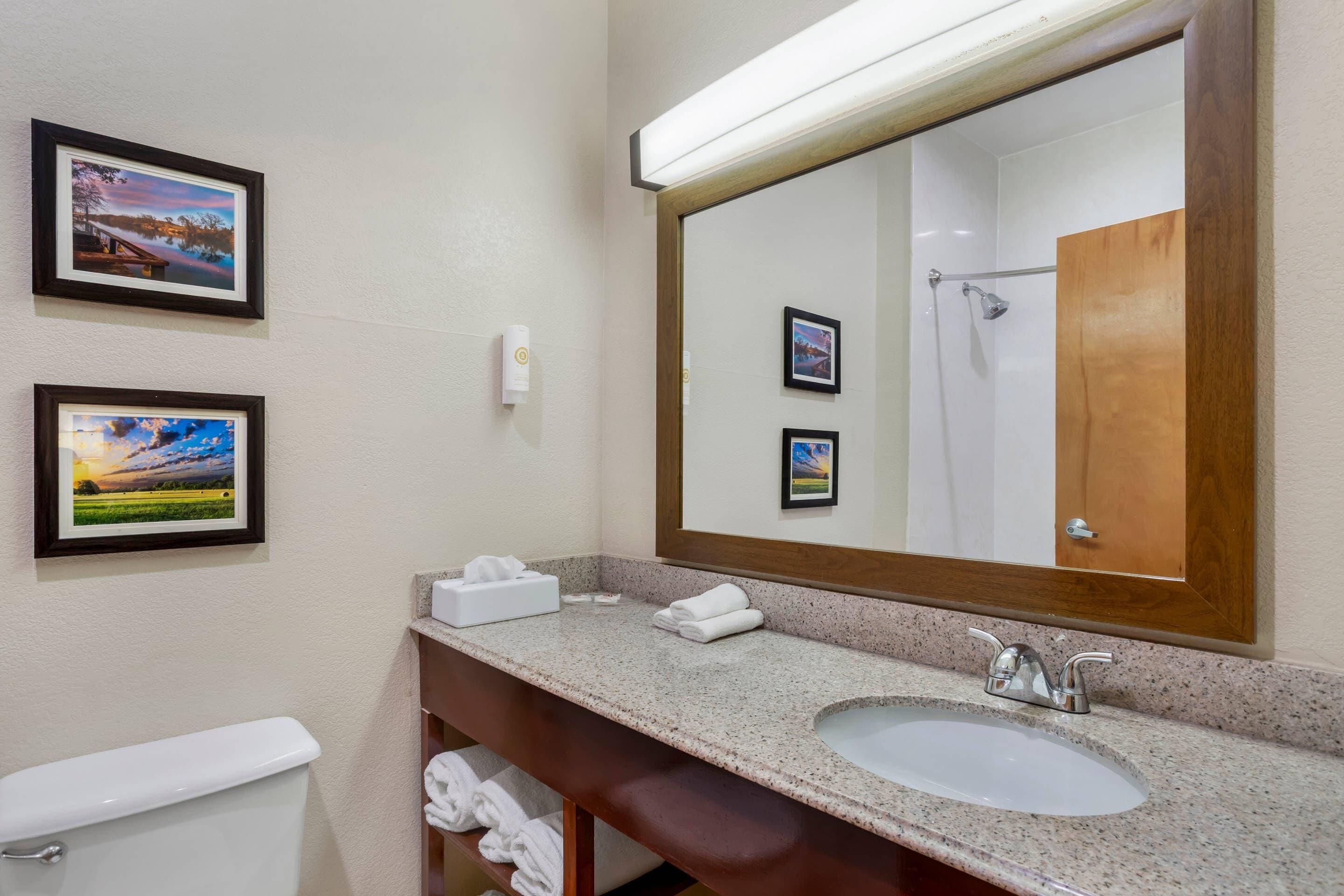 Een badkamer met een wastafel, spiegel, fotolijsten aan de muur en een toilet.