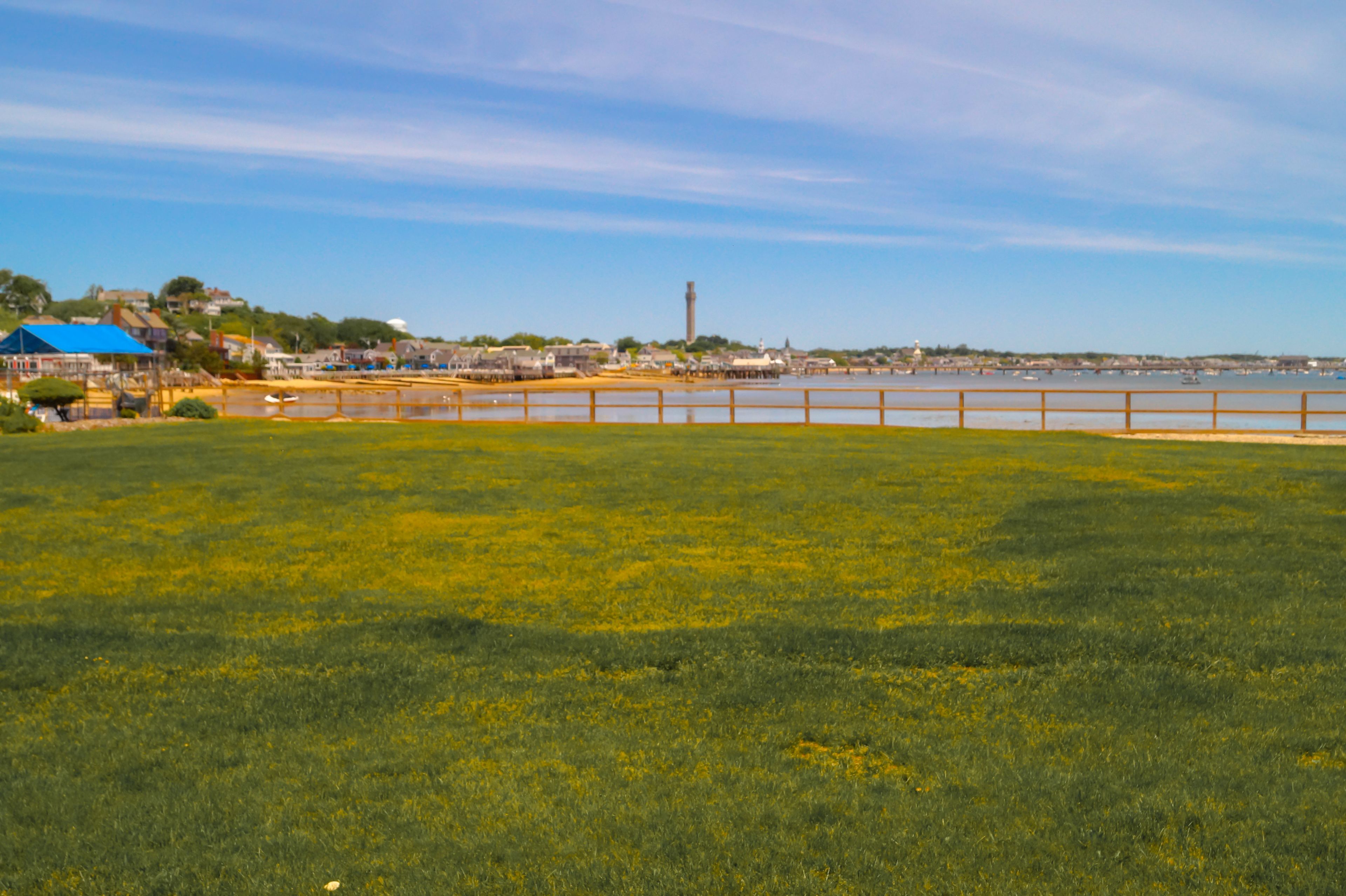 deluxe room, 1 king bed, patio, harbour view | beach/ocean view