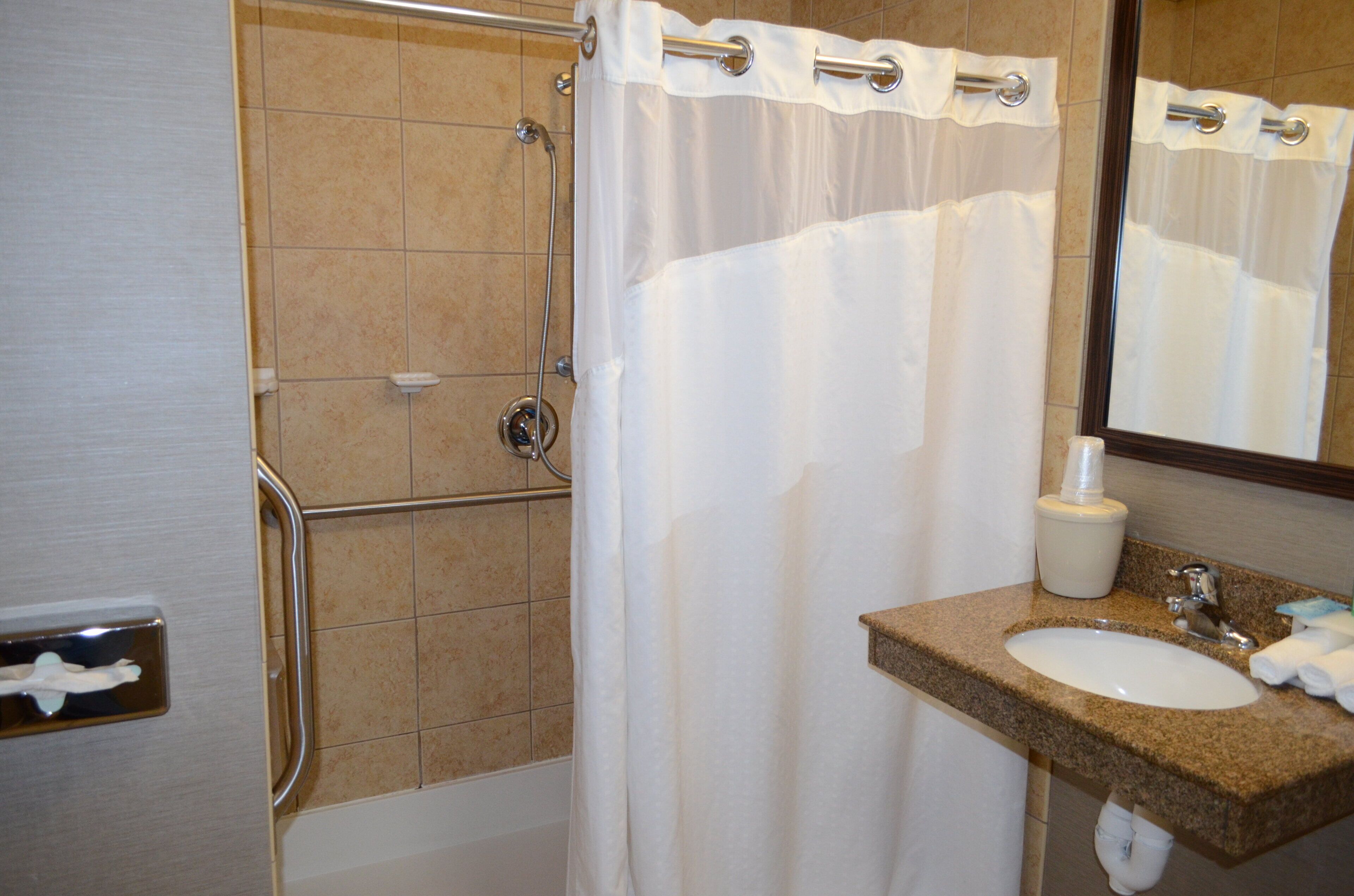 Une salle de bain équipée d’une douche, d’une barre d’appui, d’un lavabo et d’un miroir.