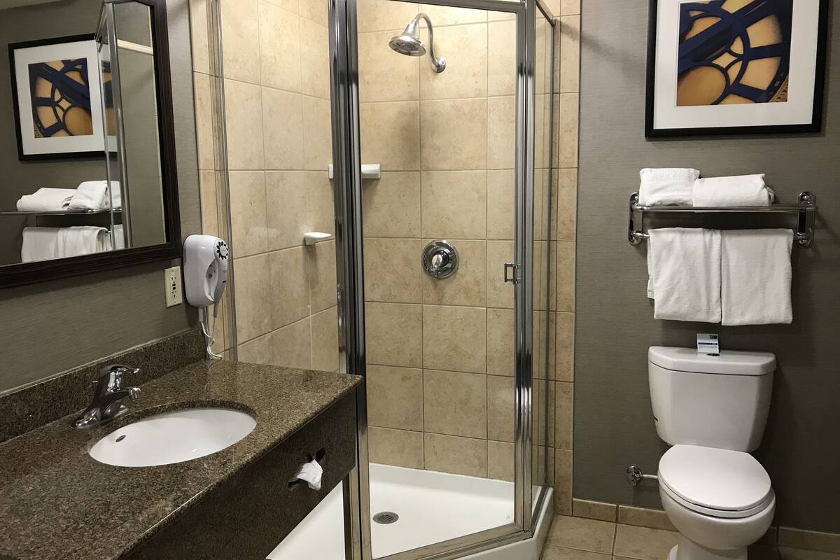 combined shower/bathtub, designer toiletries, hair dryer, towels