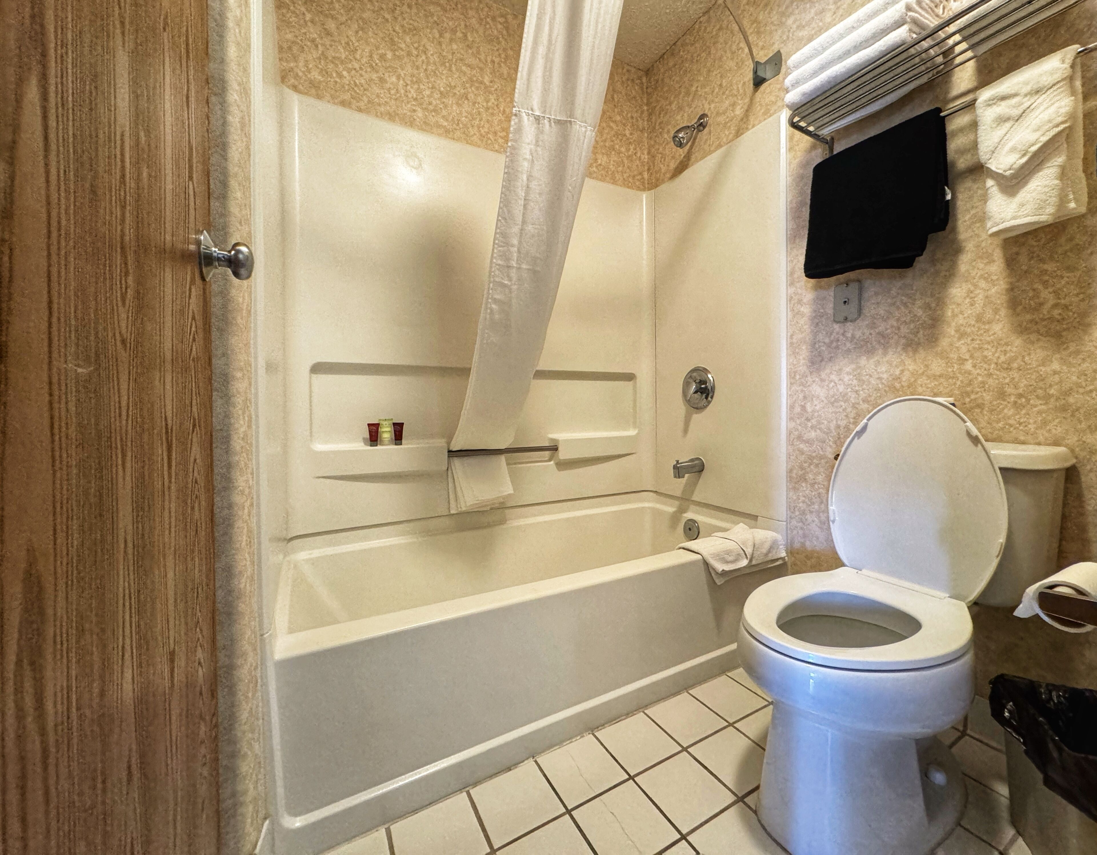 free toiletries, hair dryer, towels