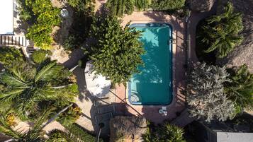 Vista aérea de una piscina rodeada de palmeras y un camino de ladrillo.