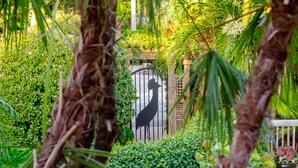 A row of green lounge chairs along a paved path, surrounded by lush greenery and a wooden fence. - Crane's Beach House Boutique Hotel & Luxury Villas (Delray Beach)