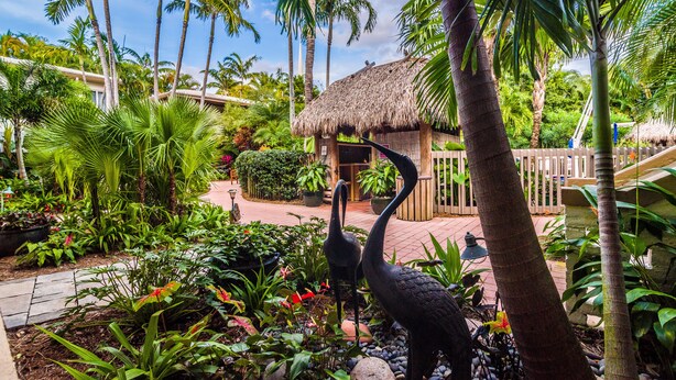 A tropical garden with a thatched-roof hut, palm trees, and a variety of plants. - Crane's Beach House Boutique Hotel & Luxury Villas (Delray Beach)