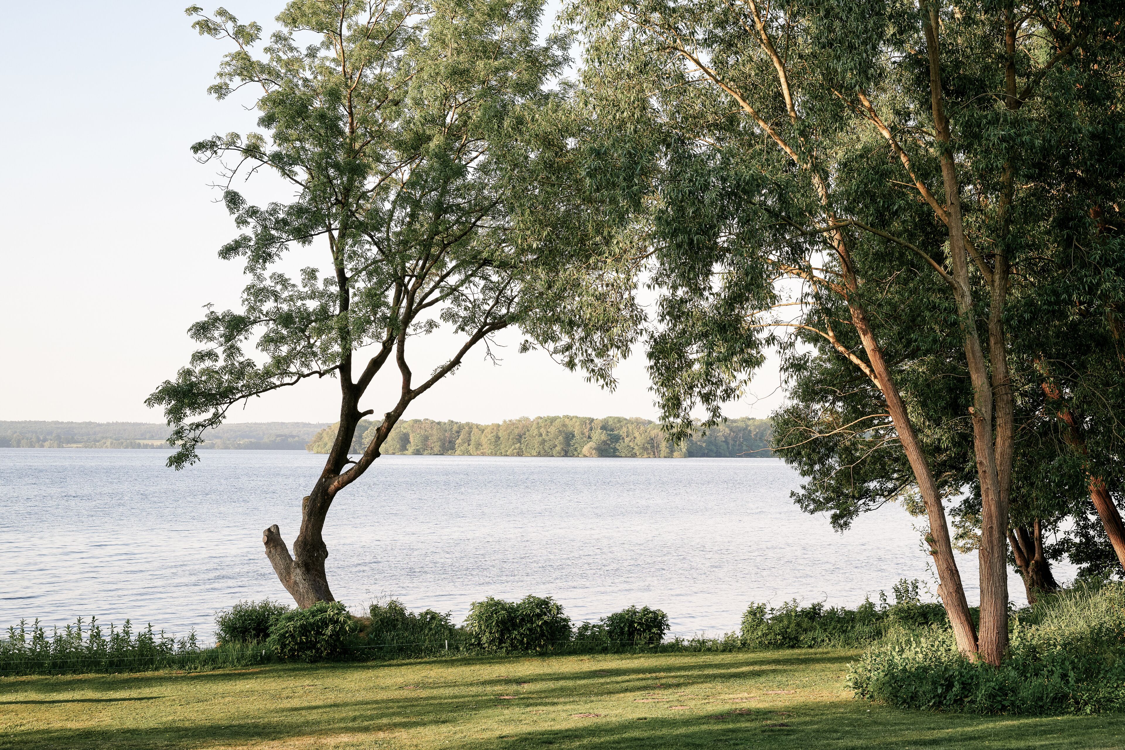 Une vue sur le lac, avec des arbres et une zone herbeuse.